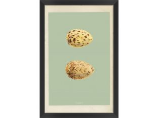 Classic Egg Study II (Set of 3) 16W x 24H
