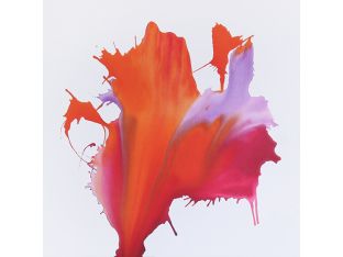 A Fire In My Soul II  20W X 20H