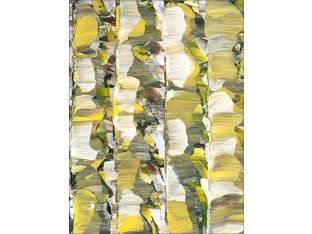 Morning Light I 24W x 32H