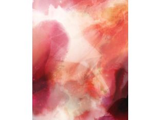 Rich Fusion II 24W x 30H