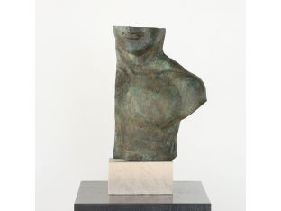 Torso Artem - Cleared