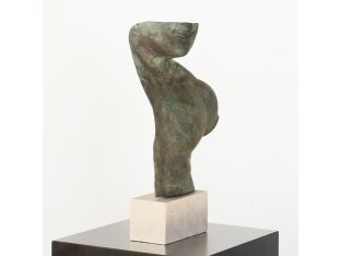 Torso Artem - Cleared