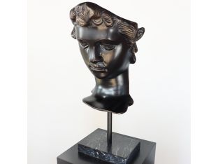Head of Davidus - Cleared