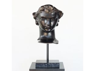 Head of Davidus - Cleared
