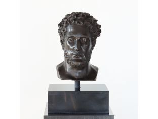 Head of Alexander the Great - Cleared