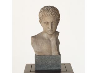 Bust of a Regal Roman - Cleared