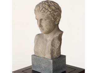 Bust of a Regal Roman - Cleared