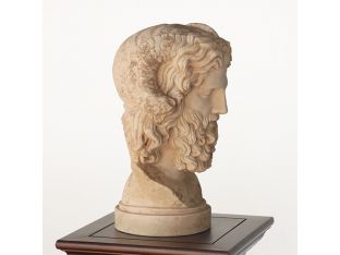 Bust of Zeus - Cleared