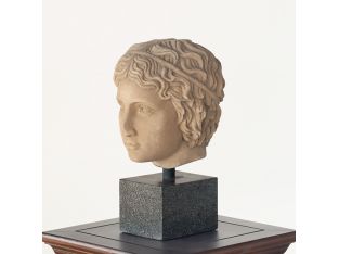 Bust of a Roman Youth - Cleared