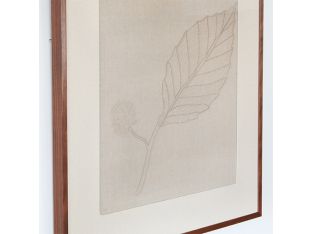 Mountain Mint Embroidered Botanical 36W X 36H