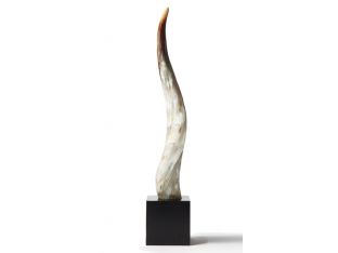 Yak Horn on Black Wood Base - Cleared Décor
