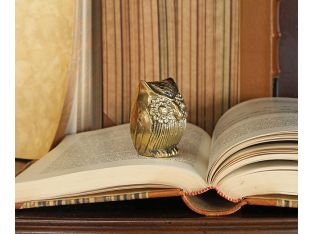 Brass Owl 3 - Cleared Décor