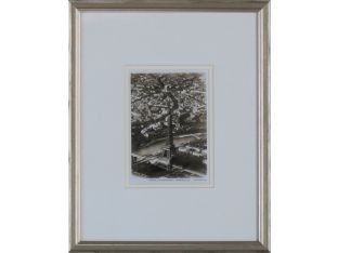Paris - La Tour Eiffel Perspective 12W x 15H