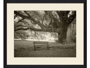 A Quiet Place I 22W x 18H