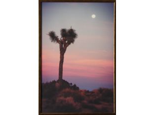 Joshua Pink Tree Sky 17W x 25H