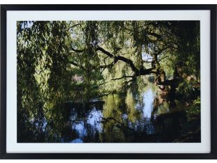 Bayou 28W x 20H