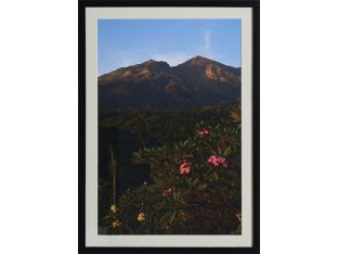 Morning Mountain 20W x 28H