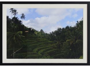 Rice Terraces 28W x 20H
