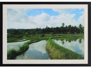 Terrace Reflection 28W x 20H