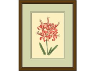 LaFleur Rouge Series 19W x 23H