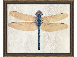 Dragonfly 1 22W X 18H