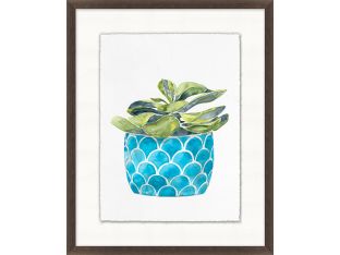 Decorated Succulent 6 17W X 21H