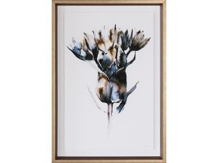 Allium  16W X 23H