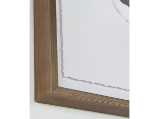 Allium  16W X 23H