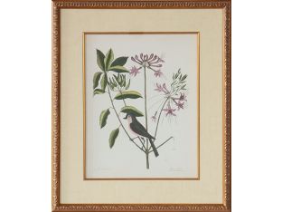Catesby Bird & Botanical I 22W x 26H - Cleared Art