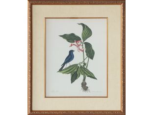 Catesby Bird & Botanical IV 22W x 26H - Cleared Art