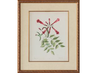 Catesby Bird & Botanical VI 22W x 26H - Cleared Art