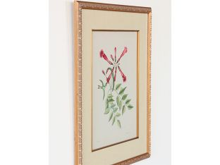 Catesby Bird & Botanical VI 22W x 26H - Cleared Art