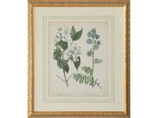Cottage Florals I 27W x 31H - Cleared Art