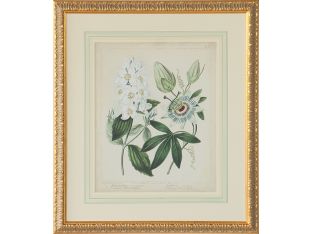 Cottage Florals II 27W x 31H - Cleared Art