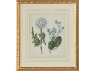 Cottage Florals III 27W x 31H - Cleared Art