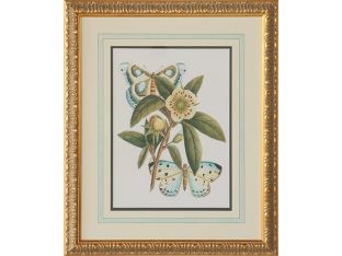 Butterfly Oasis I 22W x 27H - Cleared Art