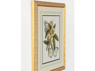 Butterfly Oasis I 22W x 27H - Cleared Art