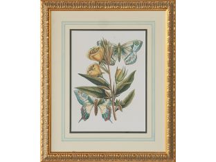 Butterfly Oasis II 22W x 27H - Cleared Art