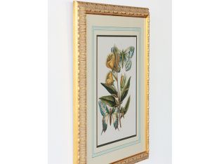 Butterfly Oasis II 22W x 27H - Cleared Art