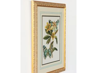 Butterfly Oasis III 22W x 27H - Cleared Art