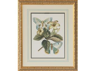 Butterfly Oasis IV 22W x 27H - Cleared Art