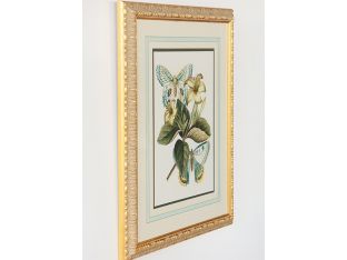 Butterfly Oasis IV 22W x 27H - Cleared Art