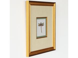 Miniature Dragonfly I 18.5W x 18.5H - Cleared Art