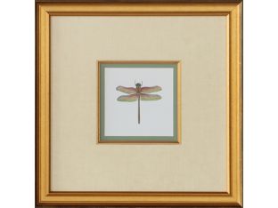 Miniature Dragonfly III 18.5W x 18.5H - Cleared Art