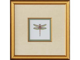Miniature Dragonfly IV 18.5W x 18.5H - Cleared Art