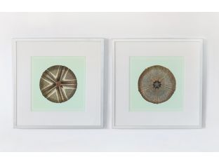 Sea Jewel on Aqua Series (Set of 2) 25W x 25H