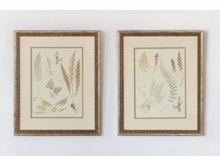 Small Fern Impressions (Set of 2) 18W x 22H