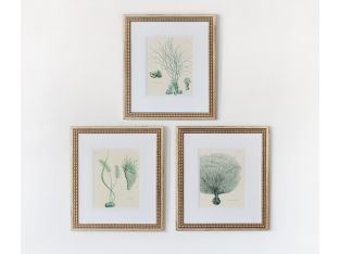 Teal Ocean Collection II (Set of 3) 15W x 18H
