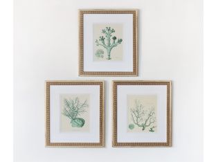 Teal Ocean Collection IV (Set of 3) 15W x 18H