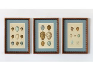 Shore Bird Egg Series 2 (Set of 3) 12.5W x 17.5H